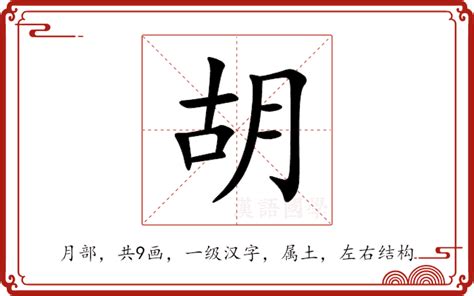 胡部首|胡的字源字形